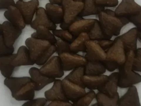 全价猫粮