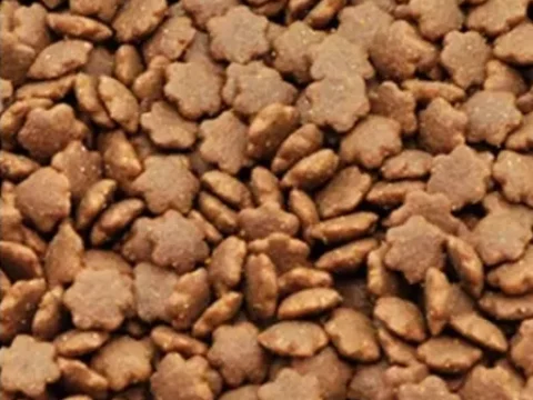Full Price Cat Food 2