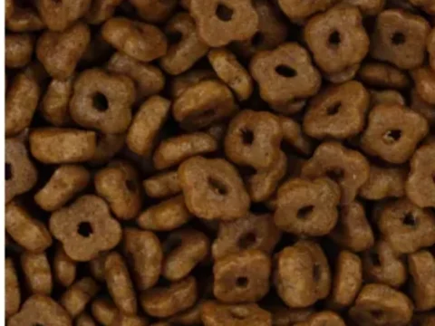 Kitten Food