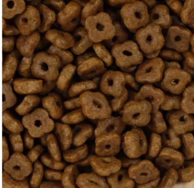 Kitten Food