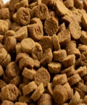 Low Temperature Baking Cat Food