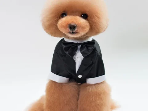 100% Polyester Formal Dress