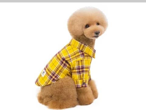 100% Cotton Checks Shirt