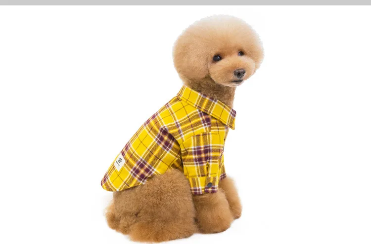 100% Cotton Checks Shirt