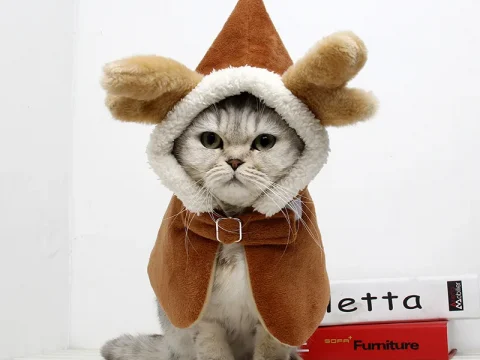 100% Polyester Cat Coat