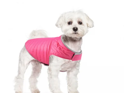 Waterproof Padded Outerwear