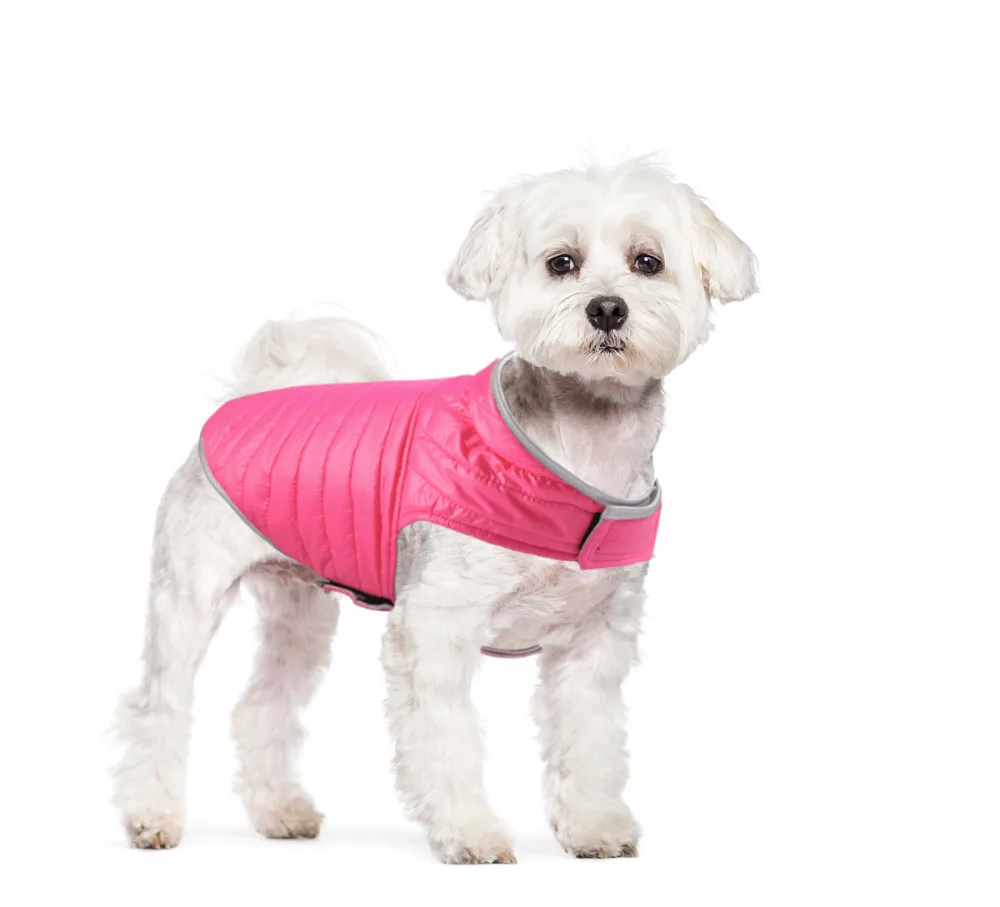 Waterproof Padded Outerwear