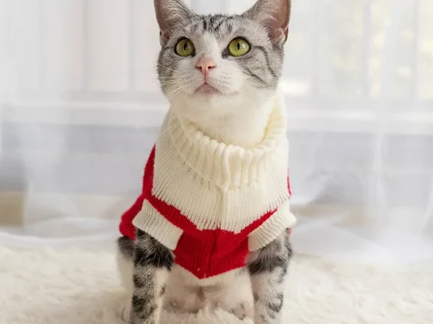 100% Polyester Sweater