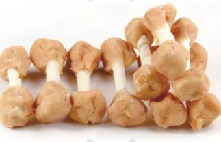Dog Chewing Snacks 13